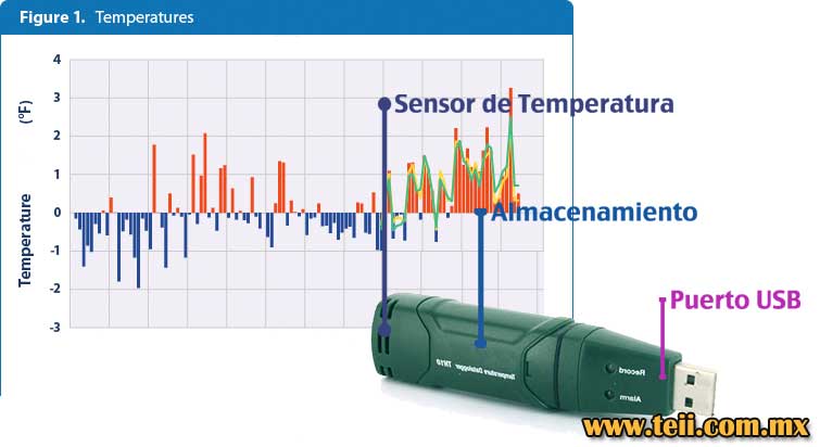 termografo imagen 